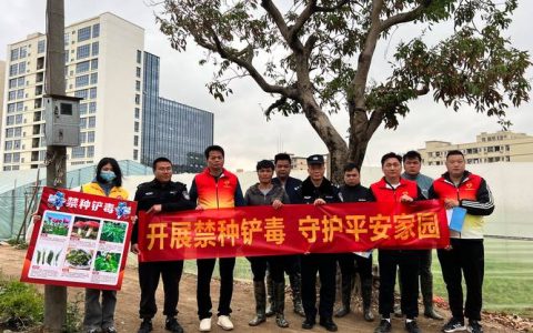 杨市街道：织密“禁种铲毒”宣传网