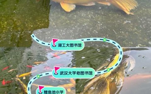 武汉改革“政策包”激活“一池锦鲤”