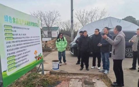 省农业农村厅指导组来黄冈调研冬季蔬菜病虫害防控和安全用药