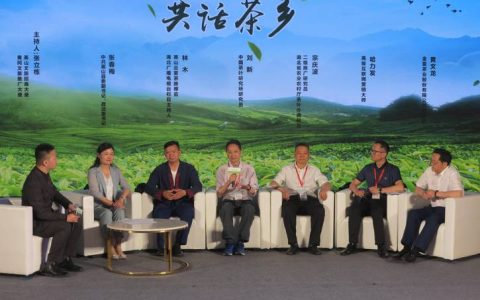 祝贺！团黄贡茶斩获省品牌价值1.75亿元认证 英山特色农业品牌再添新彩