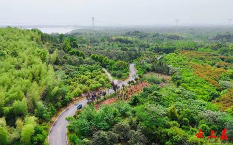 嘉鱼高铁岭镇 以工代赈促增收 乡村旧貌换新颜