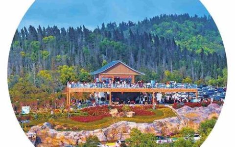 “森林药浴”蹚出农文旅融合路