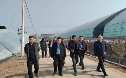 孙兵调研鄂钢农场土地提质增效暨智慧农业项目