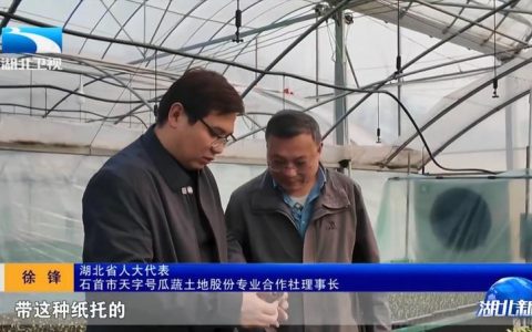省台聚焦这位石首人：让农业生产从“小而散”走向规模化