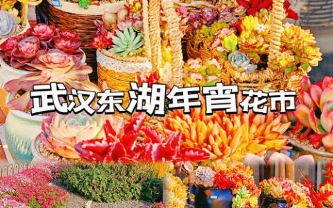 东湖花木城年宵花市人气旺盛，特色亮点受青睐