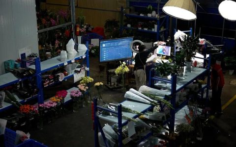 浠水能人返乡创业 直播助力鲜花销售