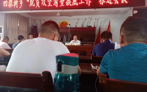 咸宁高新区驻村工作队精准帮扶 产业“造血”激活乡村振兴新动能