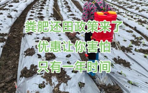 省专家进村支招粪肥还田变废为宝