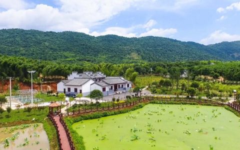 崇阳县桂花泉镇为林下经济“充电”赋能