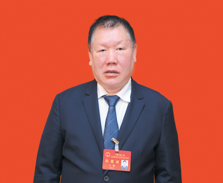 初心如磐担使命 奋楫争先开新局 ——专访市两会代表委员（三）