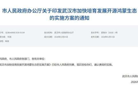 武汉发力开源鸿蒙生态建设 到2027年落地100个示范场景