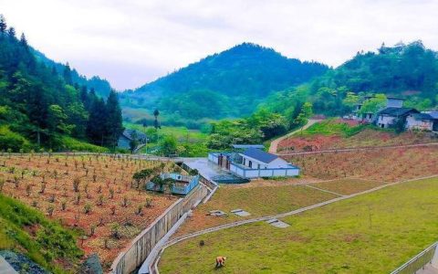 宣恩县珠山镇：返乡创业项目正式投产