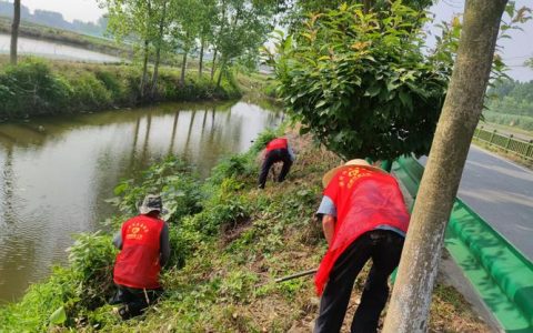 老新镇创新治理模式 走出河渠长效管护新路