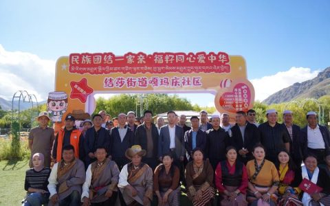 “藏”不住的黄石情  鄂藏联谊会共筑就业同心圆