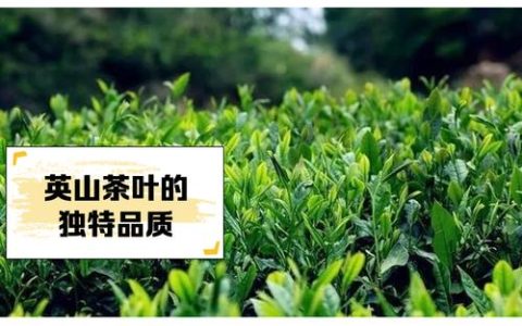 英山县茶叶供应链数字平台获省级推介
