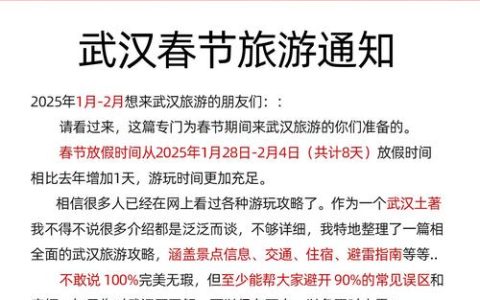 春节出游预热开启 咸宁“温泉专列”驶入武汉邀客