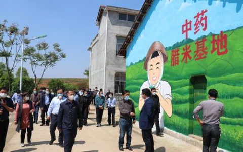 梁子湖区涂家垴镇乡村振兴添新引擎