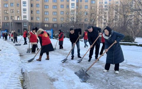 新庙镇沙塘社区合力清雪共绘暖心图景