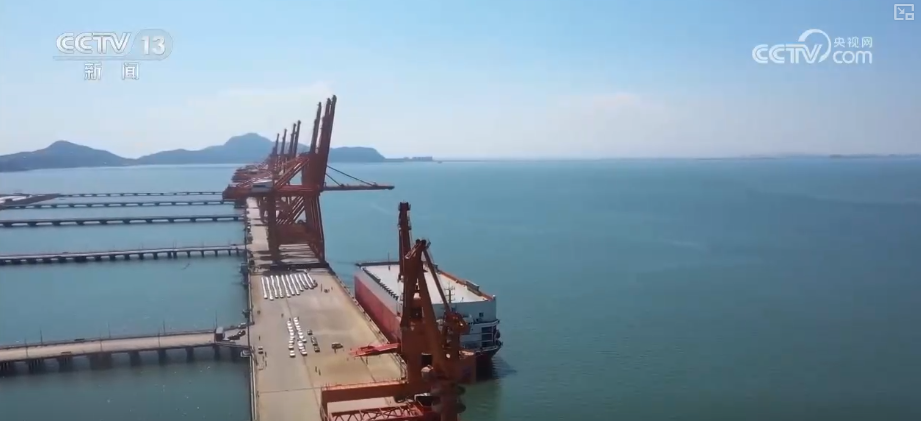 “迅猛增长”“进口产业”“零突破”，活力涌动！从关键词里解码区域外贸亮点