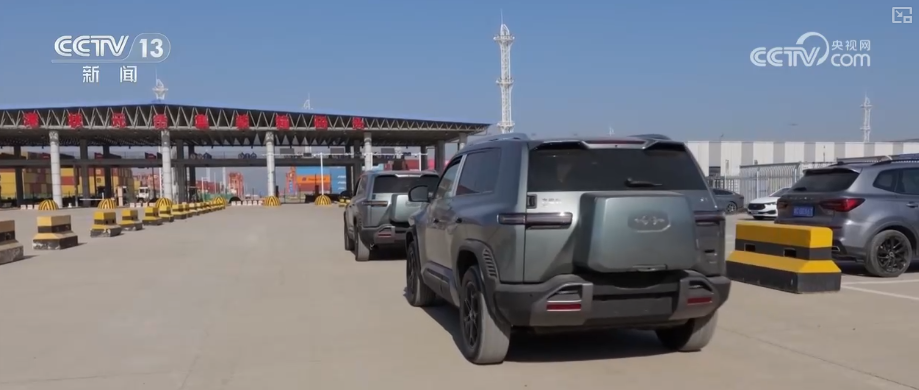 “迅猛增长”“进口产业”“零突破”，活力涌动！从关键词里解码区域外贸亮点