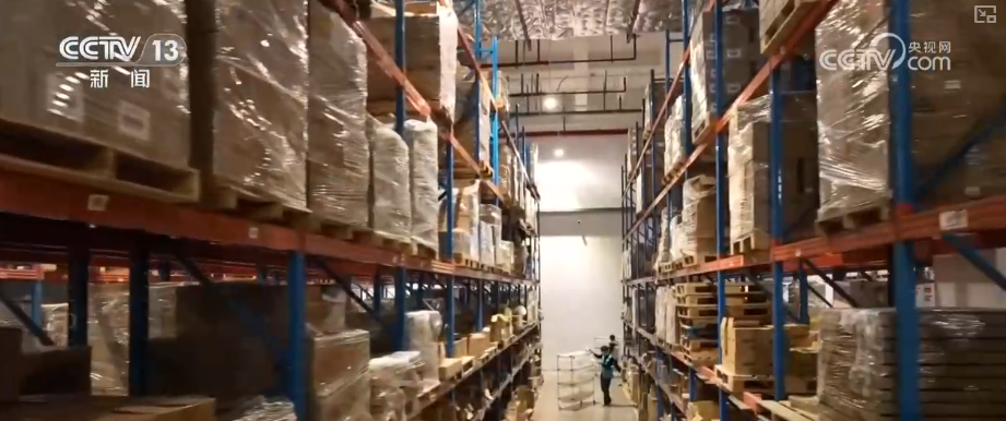 “迅猛增长”“进口产业”“零突破”，活力涌动！从关键词里解码区域外贸亮点