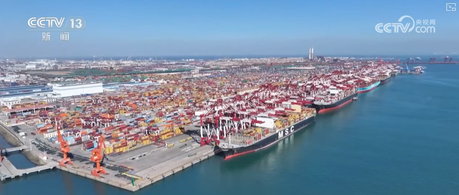 “迅猛增长”“进口产业”“零突破”，活力涌动！从关键词里解码区域外贸亮点