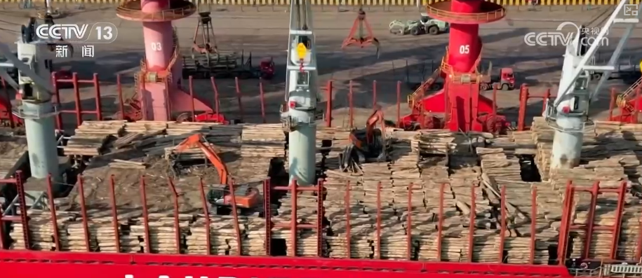 “迅猛增长”“进口产业”“零突破”，活力涌动！从关键词里解码区域外贸亮点