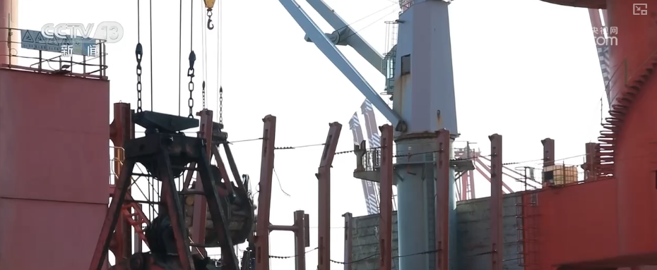 “迅猛增长”“进口产业”“零突破”，活力涌动！从关键词里解码区域外贸亮点