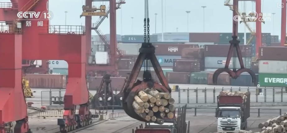 “迅猛增长”“进口产业”“零突破”，活力涌动！从关键词里解码区域外贸亮点