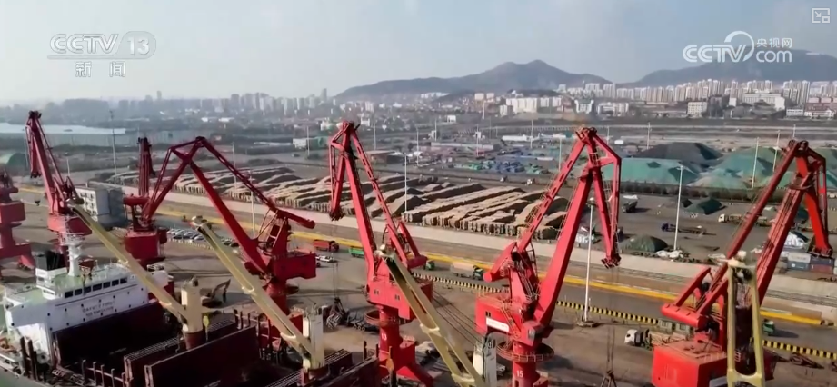 “迅猛增长”“进口产业”“零突破”，活力涌动！从关键词里解码区域外贸亮点