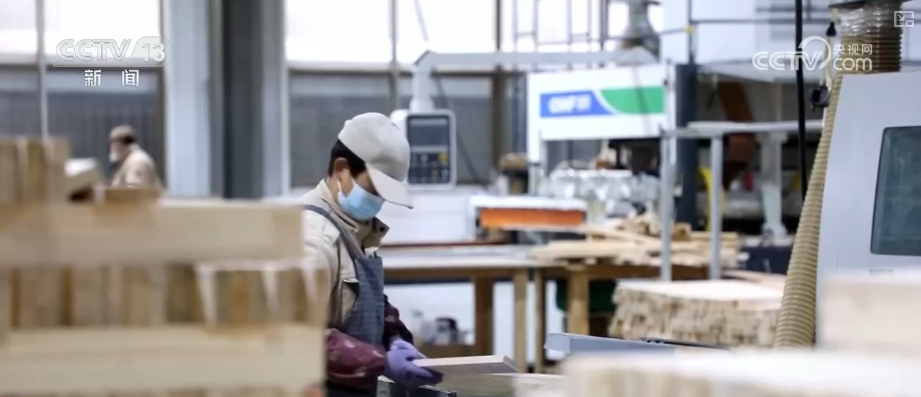 “迅猛增长”“进口产业”“零突破”，活力涌动！从关键词里解码区域外贸亮点