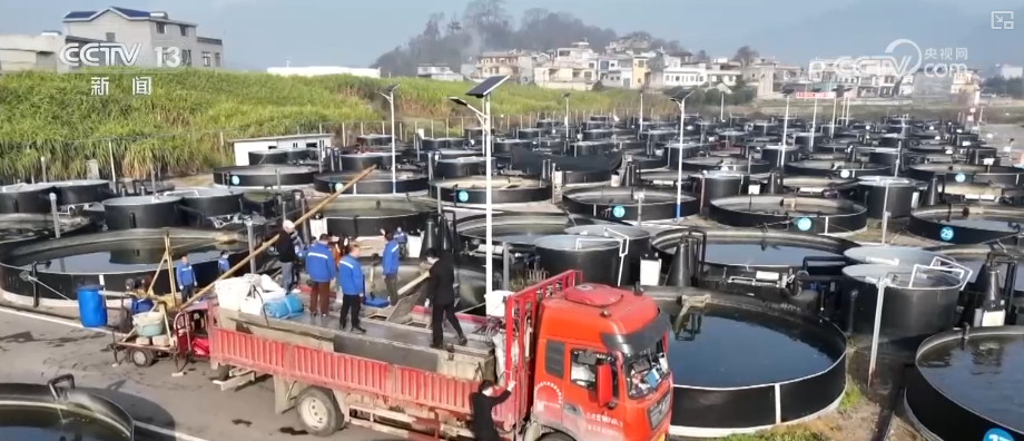 “迅猛增长”“进口产业”“零突破”，活力涌动！从关键词里解码区域外贸亮点