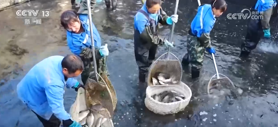 “迅猛增长”“进口产业”“零突破”，活力涌动！从关键词里解码区域外贸亮点