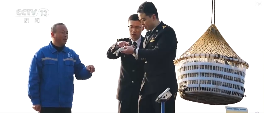 “迅猛增长”“进口产业”“零突破”，活力涌动！从关键词里解码区域外贸亮点