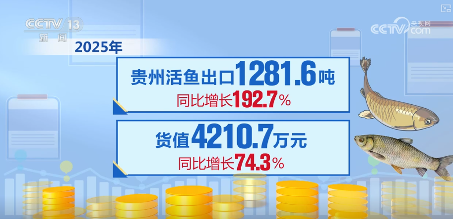 “迅猛增长”“进口产业”“零突破”，活力涌动！从关键词里解码区域外贸亮点