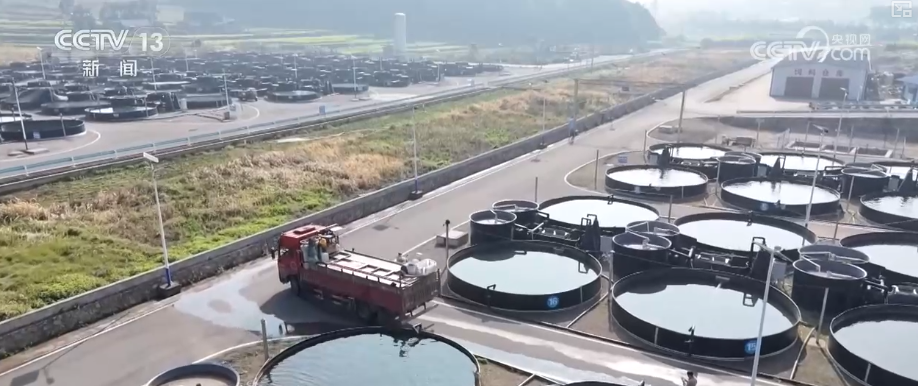 “迅猛增长”“进口产业”“零突破”，活力涌动！从关键词里解码区域外贸亮点