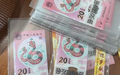 与蛇共舞奔“钱”景