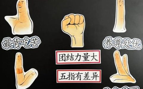 完善片区协作机制　攥指成拳聚合力