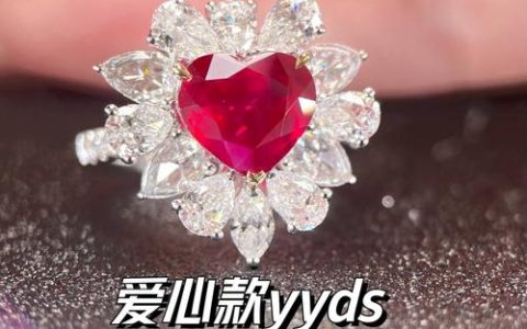 两万元爱心款润泽“红蓓蕾”