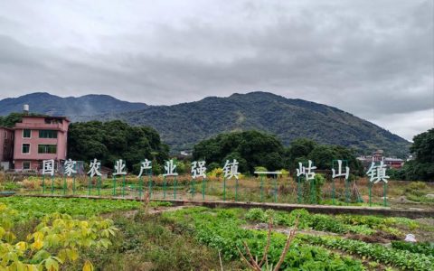 咸安富硒水稻基地入选省级乡村振兴科技创新示范基地