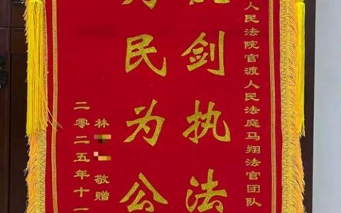 咸安汀泗桥镇“桂乡管家”扎根一线 “红色根须”直达“民生末梢”
