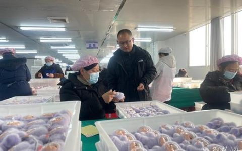 赤壁打造“总部+乡镇分厂”模式 把车间建在村头 让幸福留在家门口