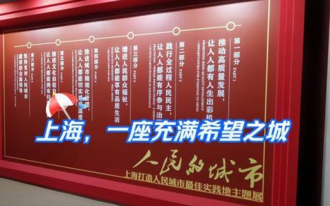 “首善之区”坚定走在前做示范——大成武昌奋力建设实力之城活力之城品质之城