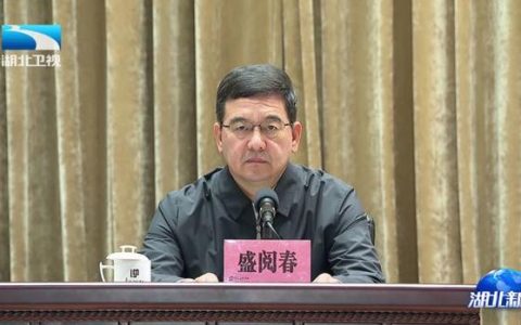 盛阅春参加省十四届人大四次会议武汉代表团审议