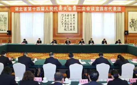 宜昌代表团举行全体会议审议省政府工作报告