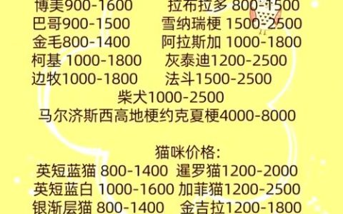 订单猛增！宠物消费需求激增 十堰多家店铺：2月1日开始涨价