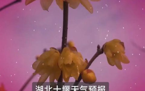 新一轮雨雪在路上，十堰最新天气预报来了