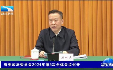 王林虎参加省十四届人大四次会议随州代表团审议