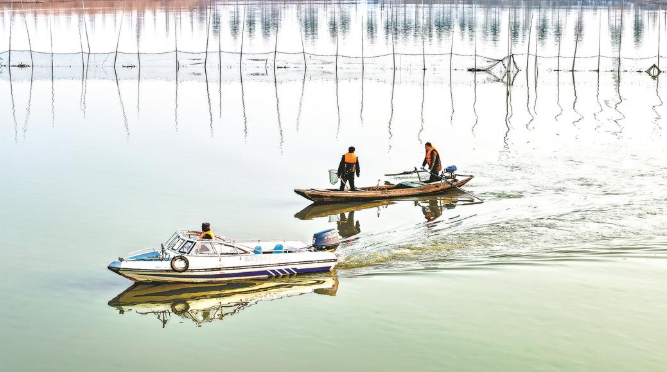 浠水：以生态行动 绘就策湖湿地美丽画卷
