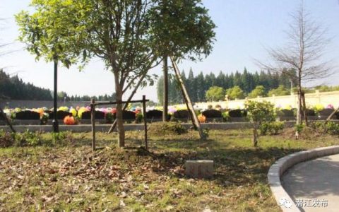 潜江首例公益性墓区树葬仪式举行